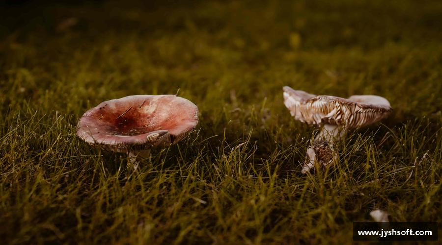 精彩因我们而生！